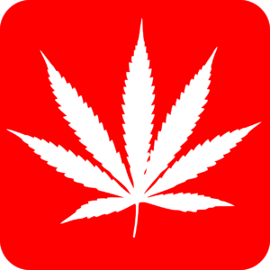 cannabis, drugs, marihuana-pixel Flower .jpg