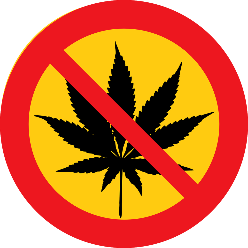 cannabis, marihuana, drugs pixelflower.ch