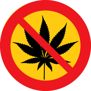 cannabis, marihuana, drugs pixelflower.ch