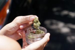 hand, cannabis flower, jar-pixelflower.jpg